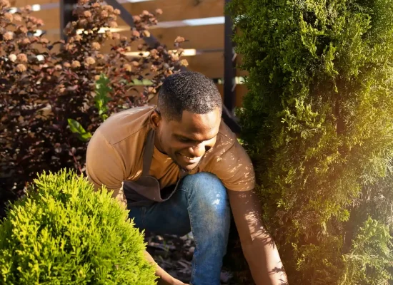 Services 2149607099 Rimvo4zep43p31aufud2arq7v53jpo23iyv7hz7g9s